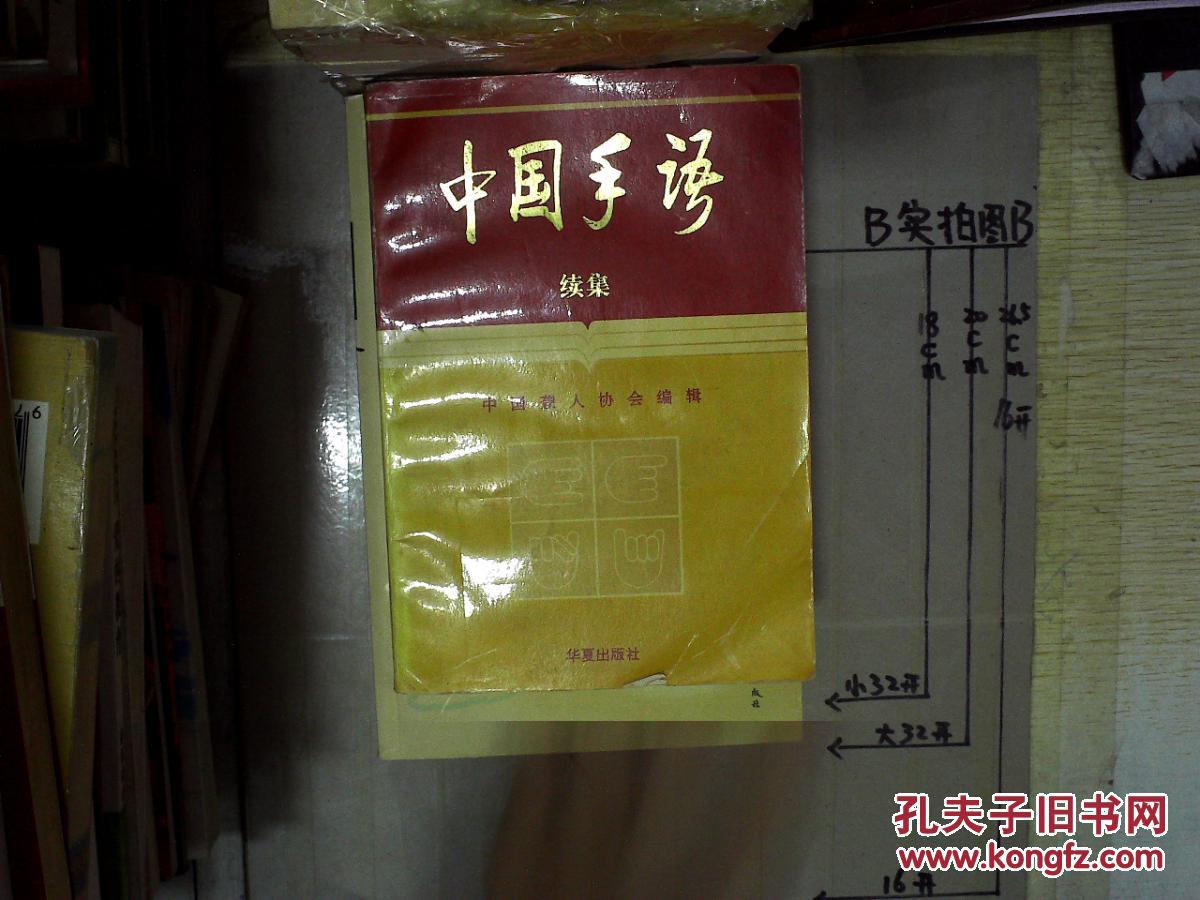 中国手语(续集)