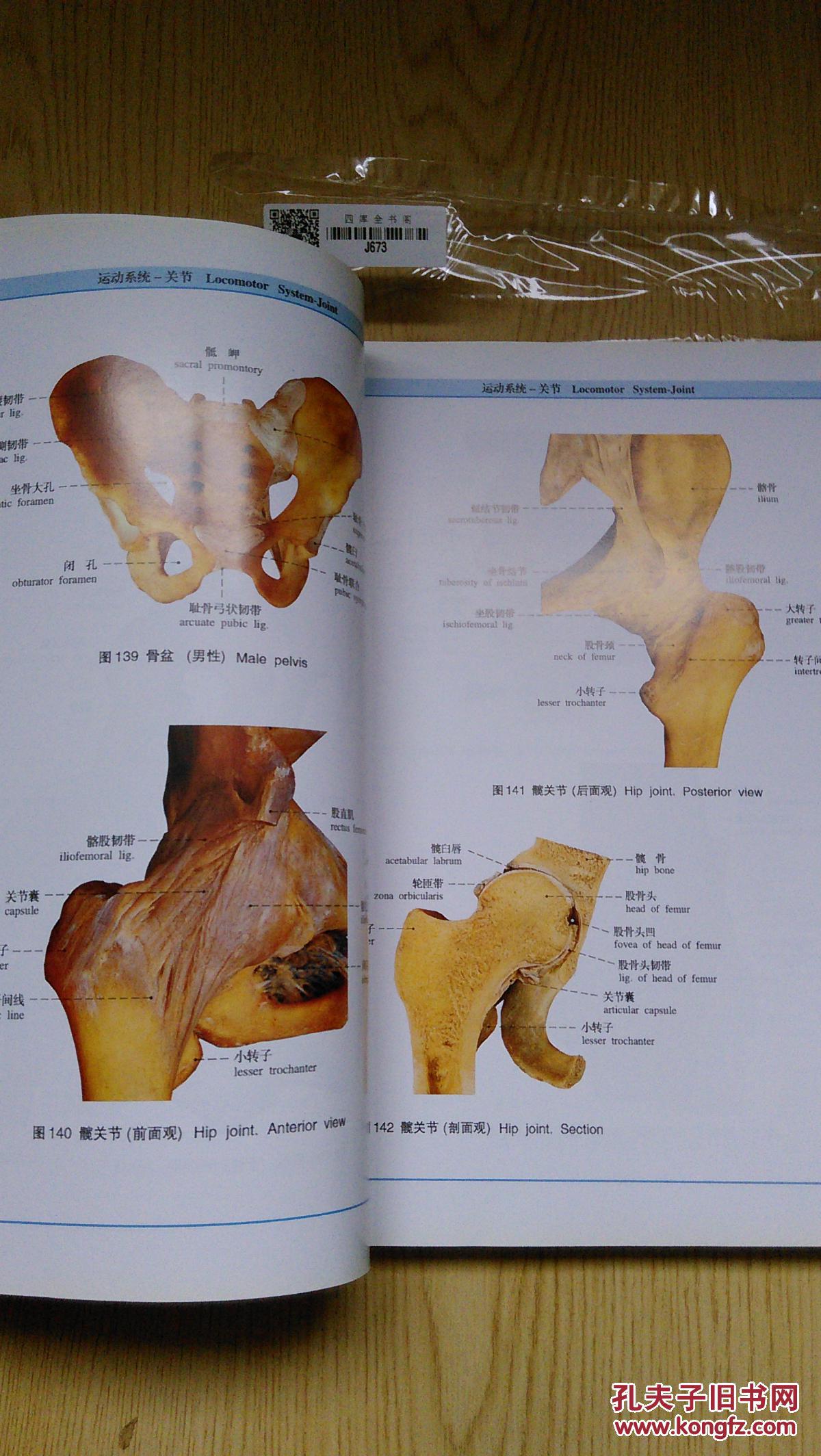 人体解剖学标本彩色图谱(第二版)
