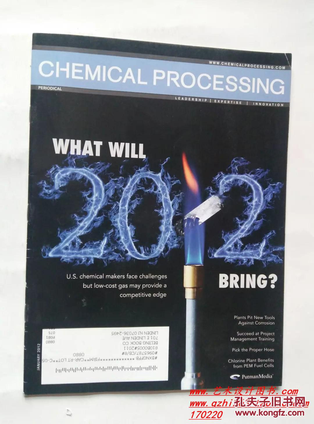 Chemical Processing  化学处理加工化工工程学术论文期刊2012/01