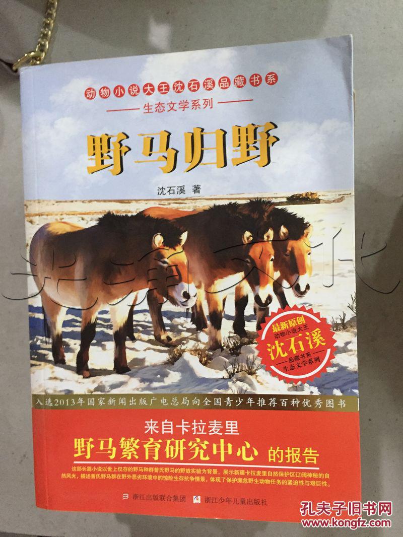 野马归野---[id:216217][%#62d2%#]---[中图分类法][!i287.