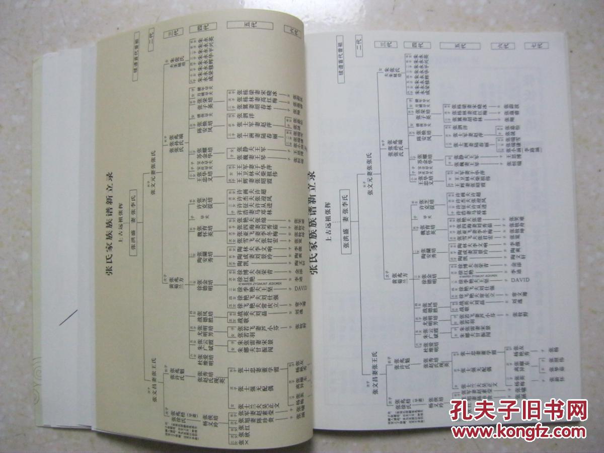 云集张氏源流世系图书.