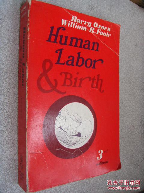 Human Labor & Birth 《劳动力与生育研究》