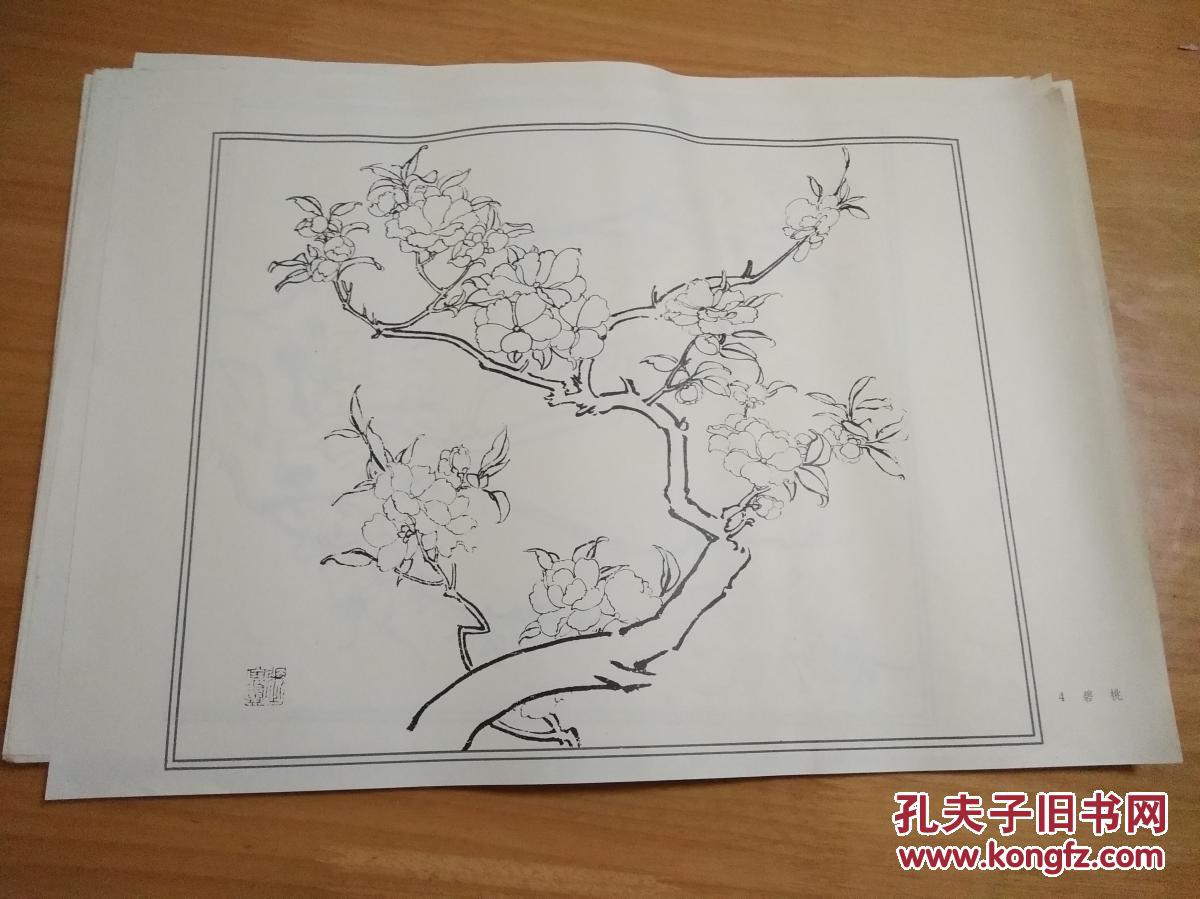 张其翼白描花卉【8开活页全27页】无封