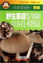 草菇种植书 兰花菇栽培书 野生草菇鉴别和培养技术图说
