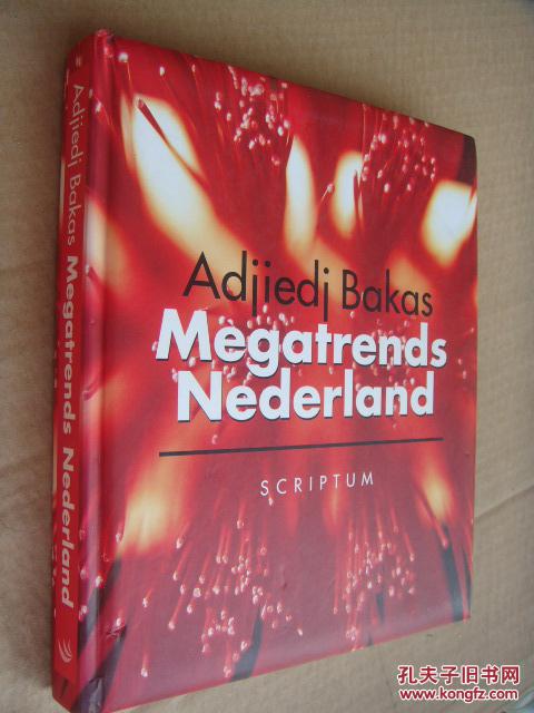 荷兰语插图本Megatrends Nederland 社会场景图片丰富 软面硬装，全铜版纸精印，书较重。