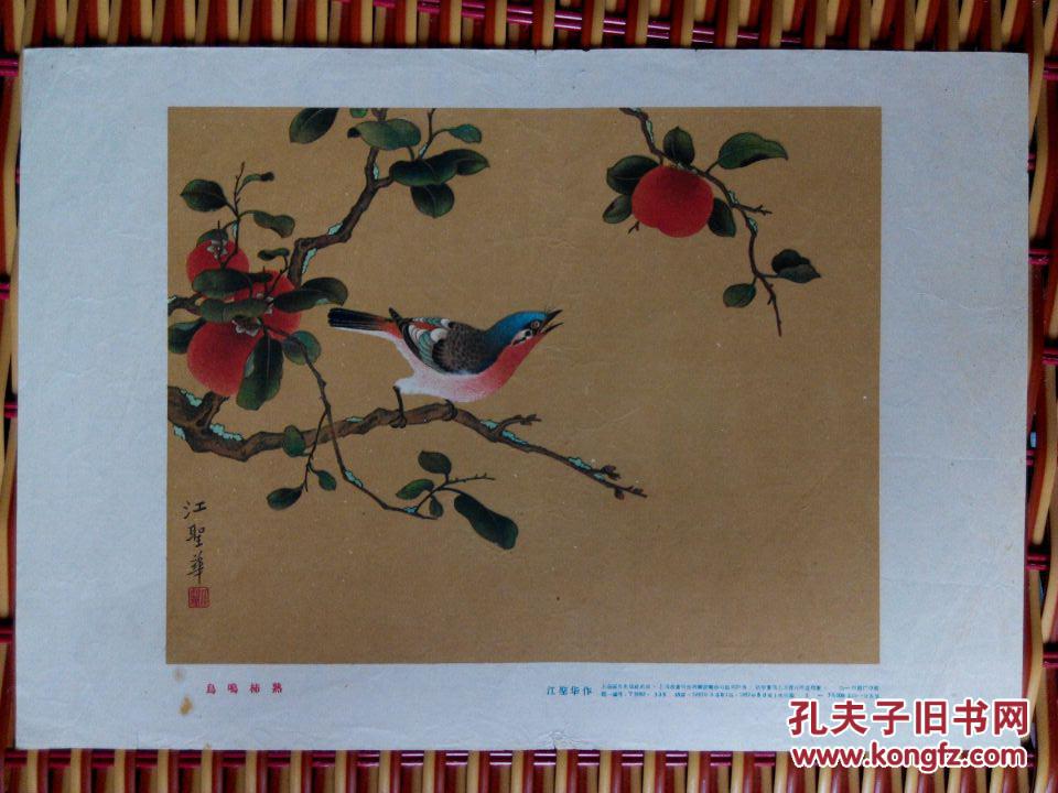 1957年江圣华《鸟鸣柿熟》画片