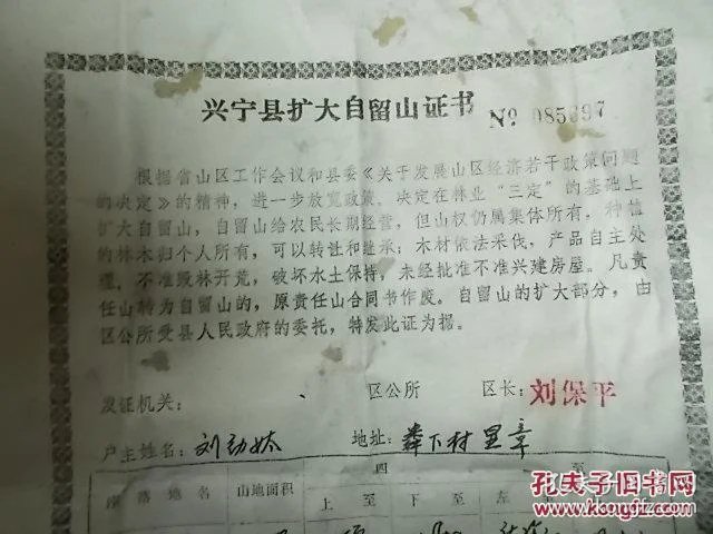 探秘兴宁市林业局：推进绿色生态建设的新篇章