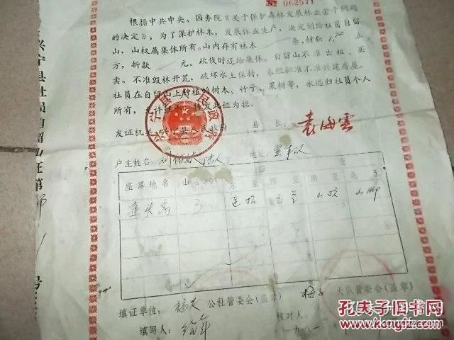 兴宁林业
