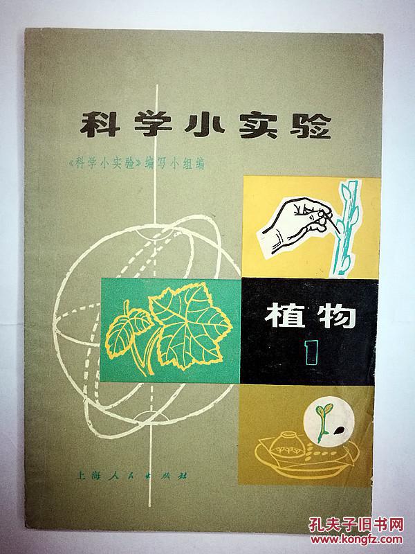 科学小实验植物1