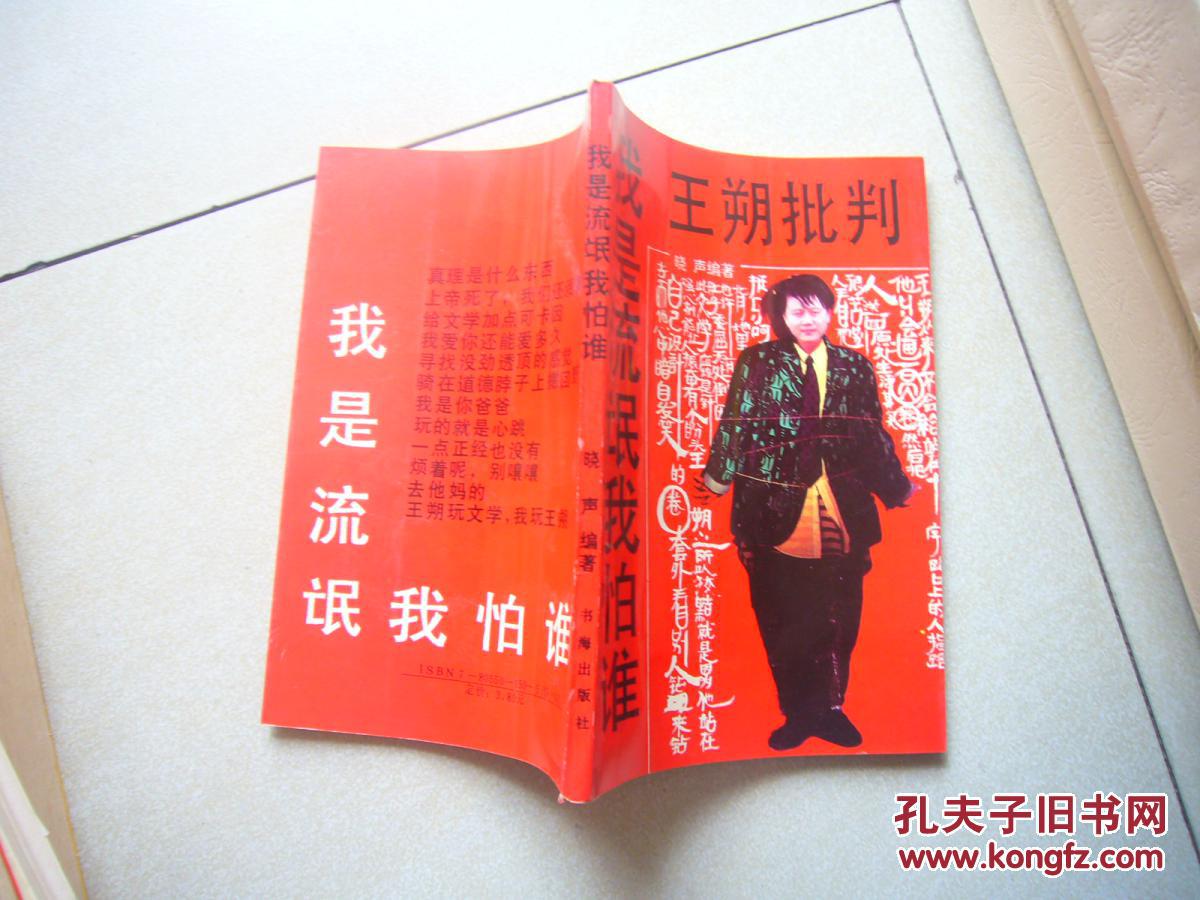 我是流氓我怕谁:王朔批判