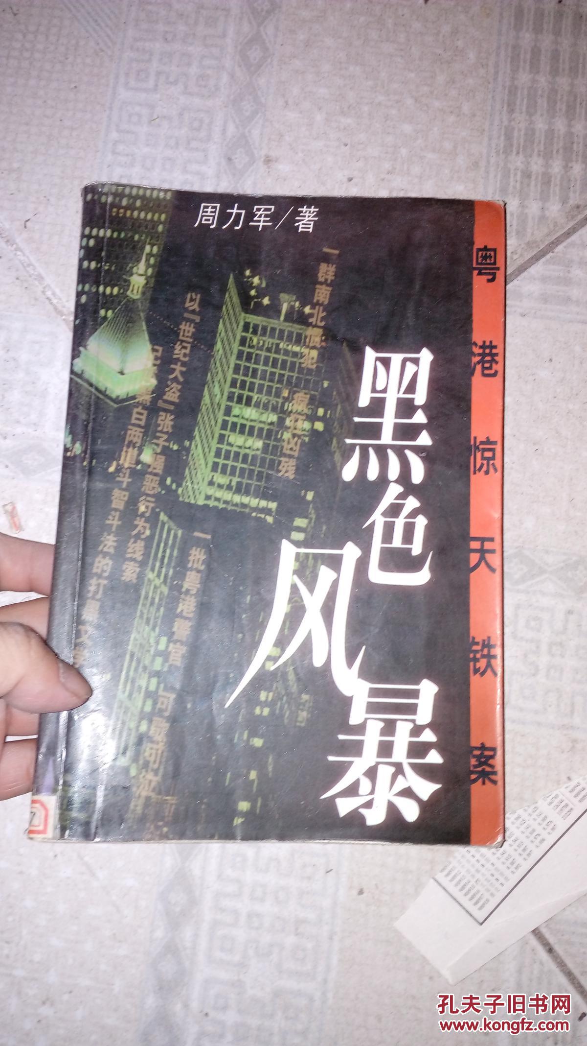 黑色风暴:粤港惊天铁案