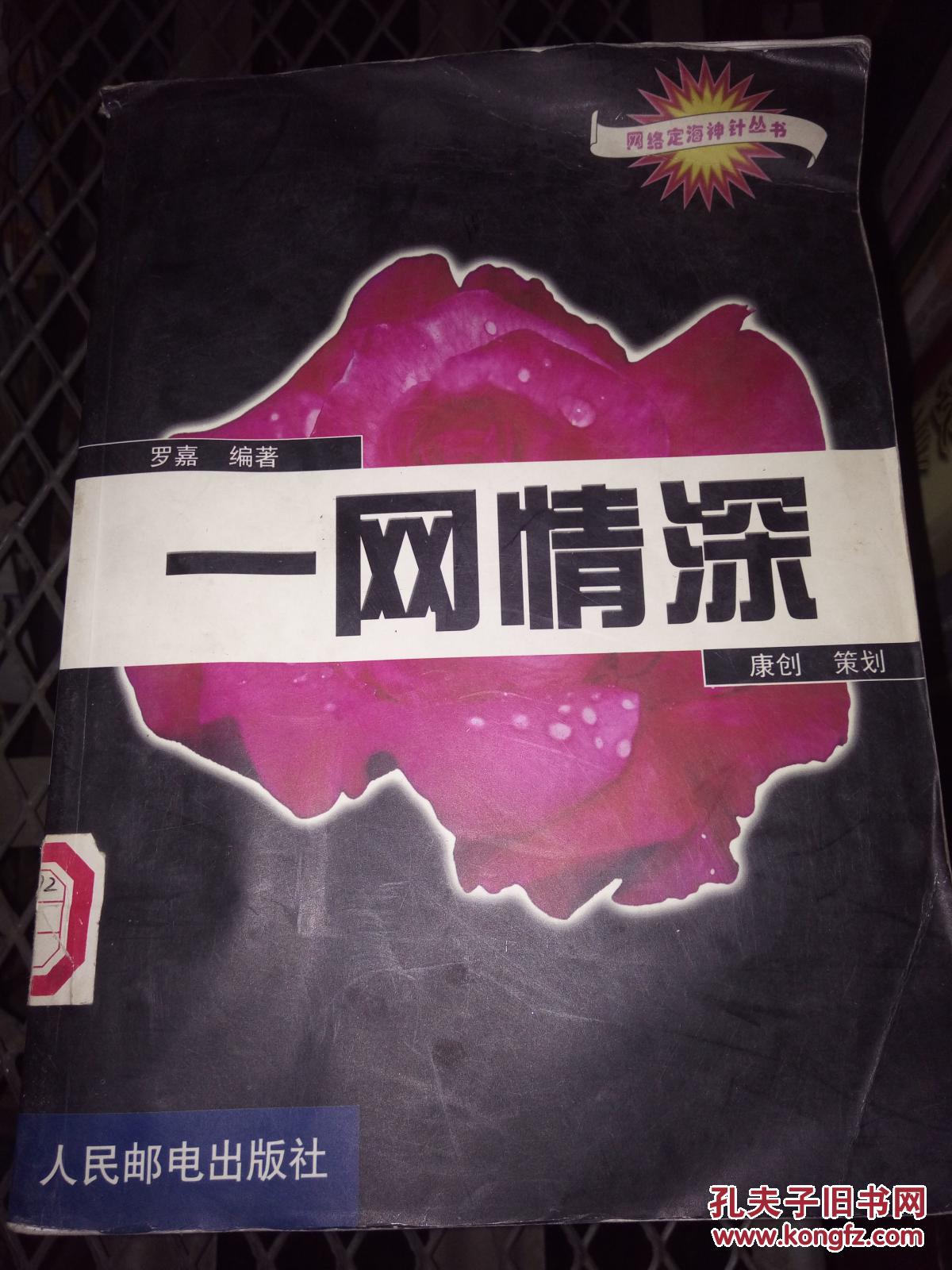 一网情深/网络定海神针丛书
