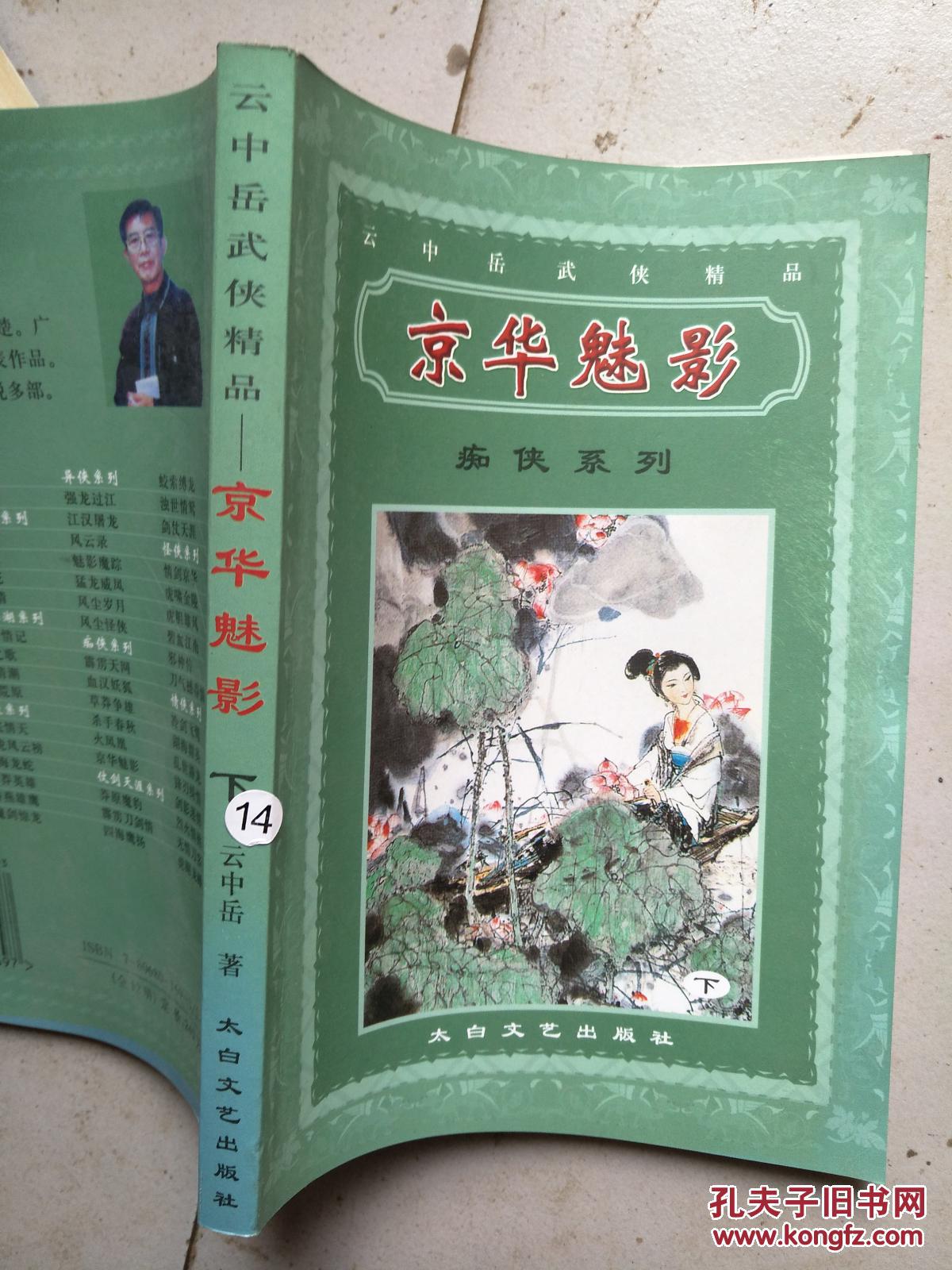 云中岳武侠精品 痴侠系列(京华魅影 下)
