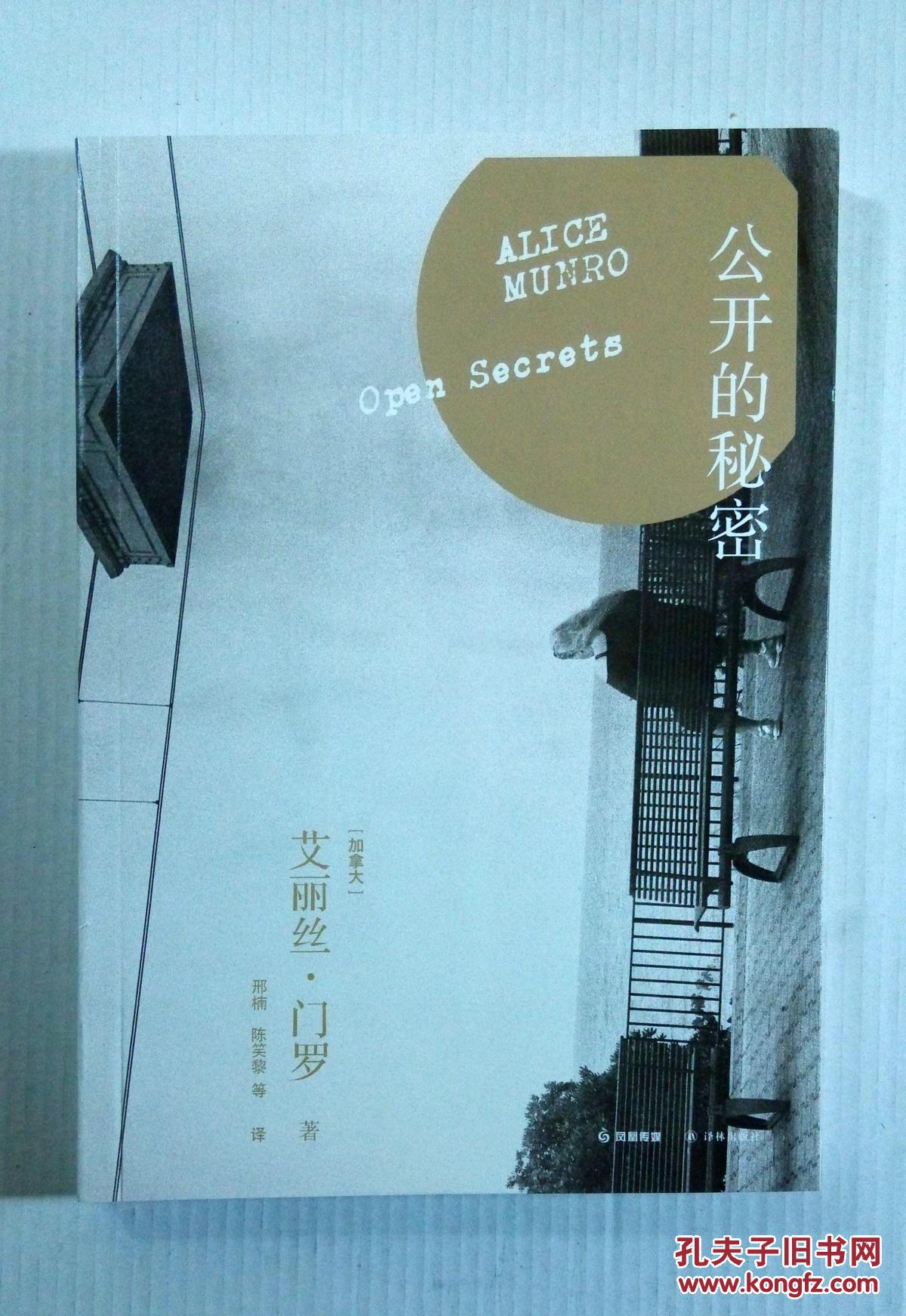 公开的秘密(2013年诺贝尔文学奖艾丽丝门罗作品)