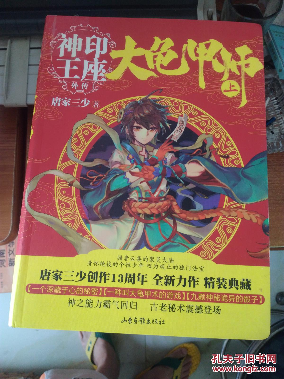 大龟甲师 上中 册