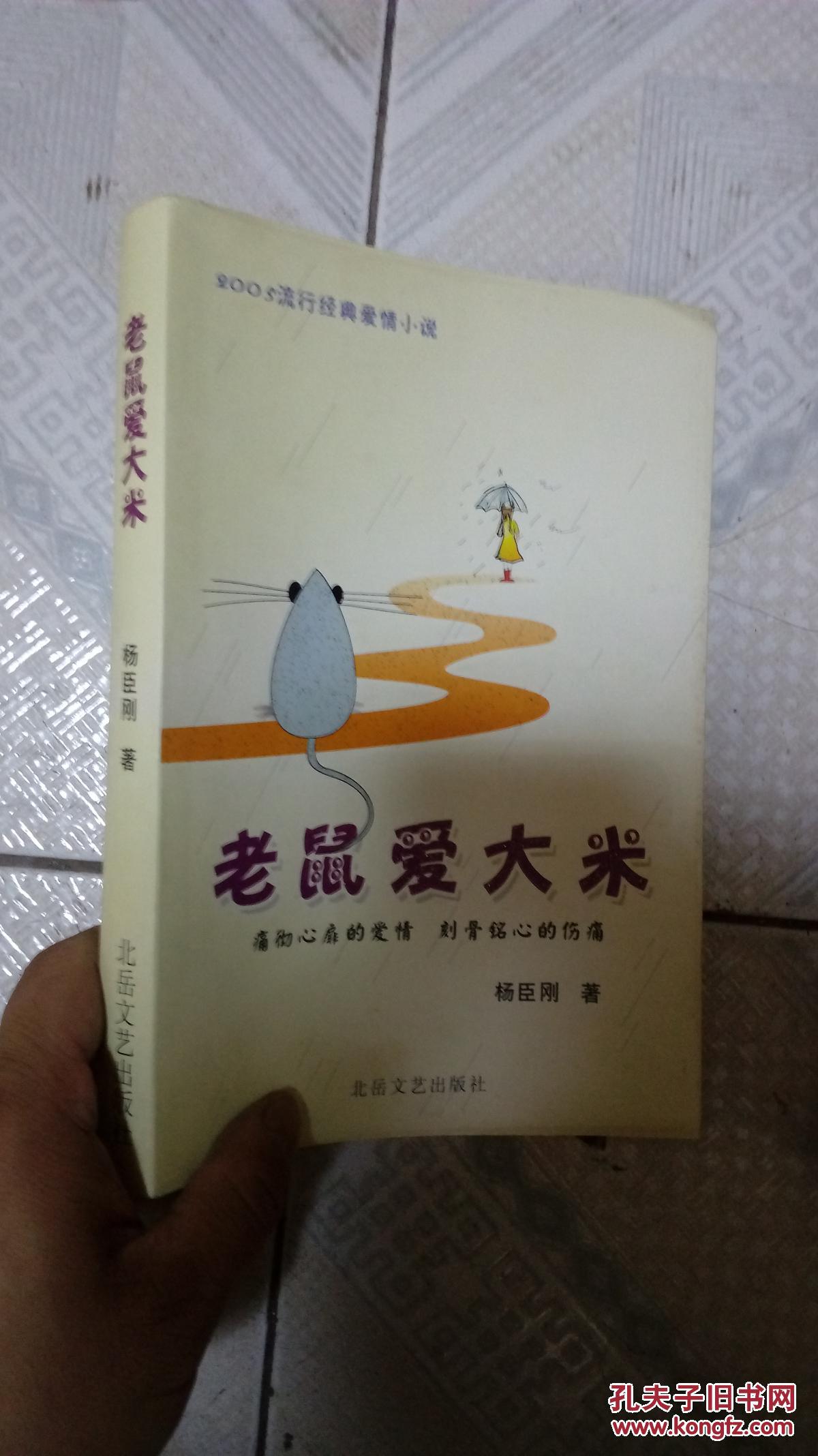 老鼠爱大米:流行经典爱情小说