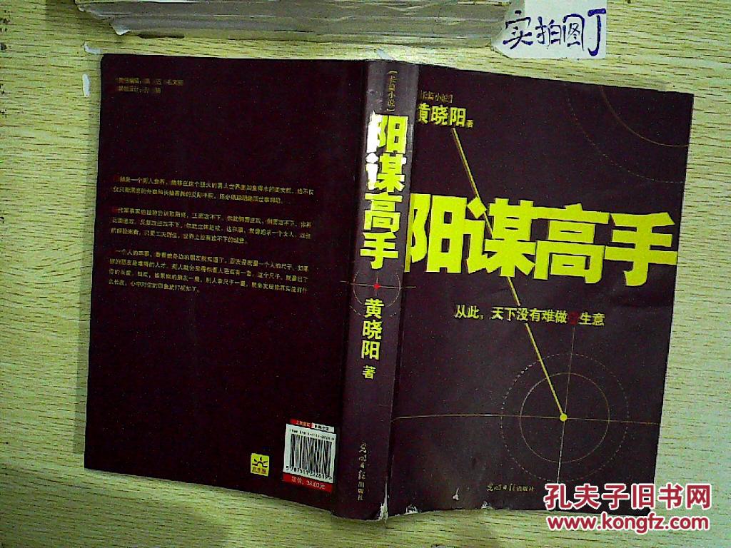 阳谋高手(长篇小说)