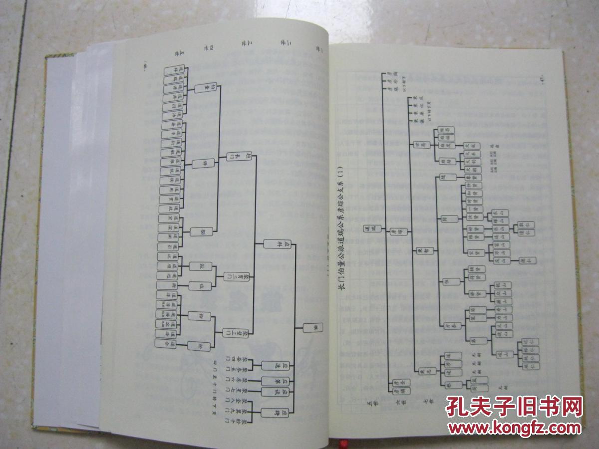 书法家金石鉴赏家诗人学者齐白石的老师张伯英抗战英雄张儒和中将家谱