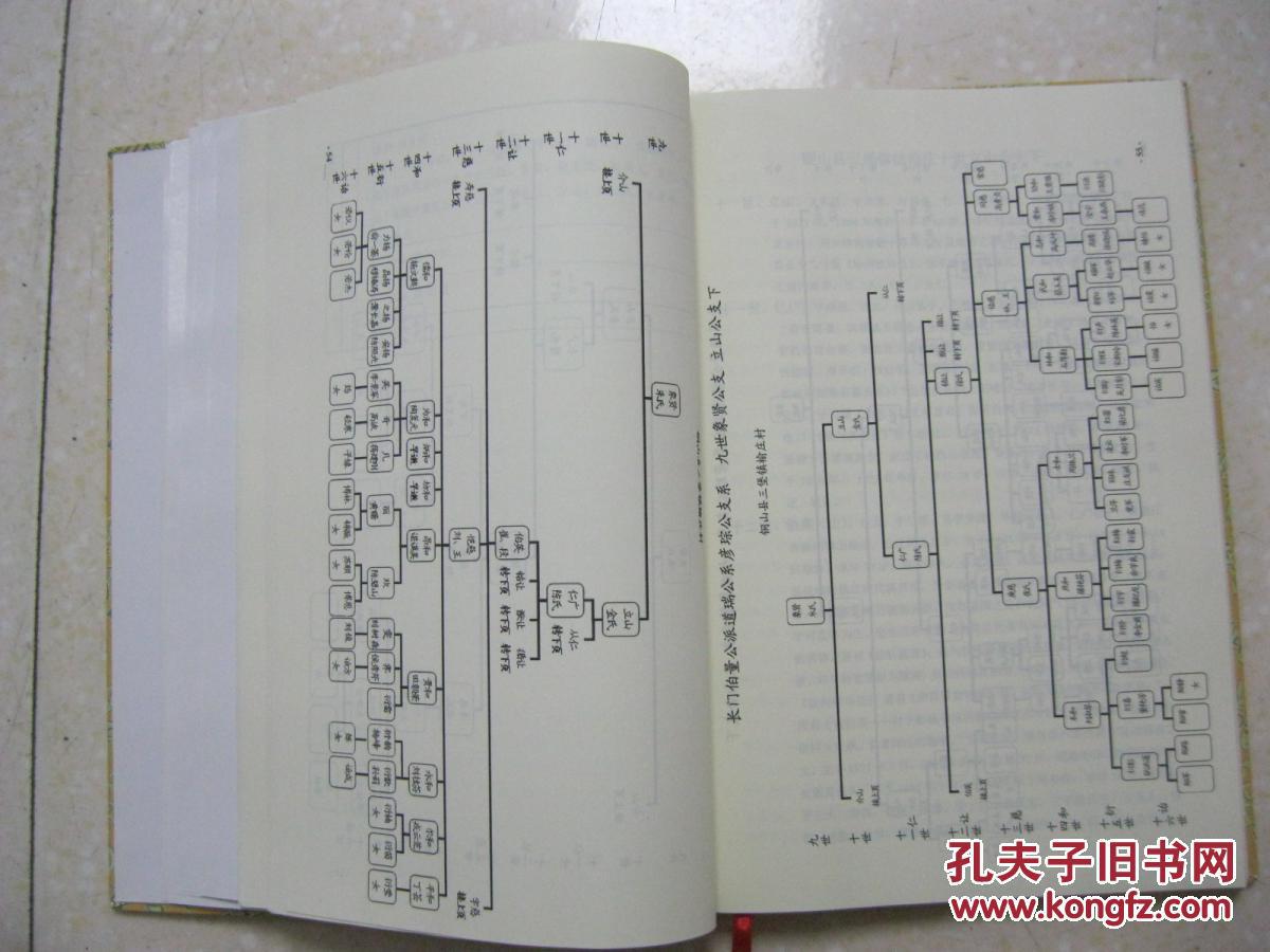 书法家金石鉴赏家诗人学者齐白石的老师张伯英抗战英雄张儒和中将家谱