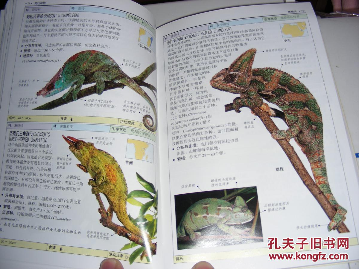 卖家承担运费【两栖与爬行动物:全世界400多种两栖与爬行动物的彩色