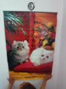 猫（香港盛达发展有限公司） 挂历 1992