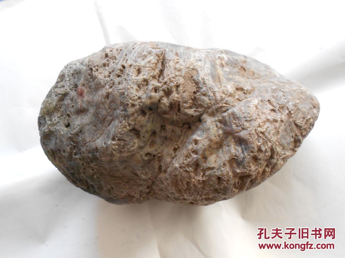 一块硅化木原石约4公斤未经任何处理