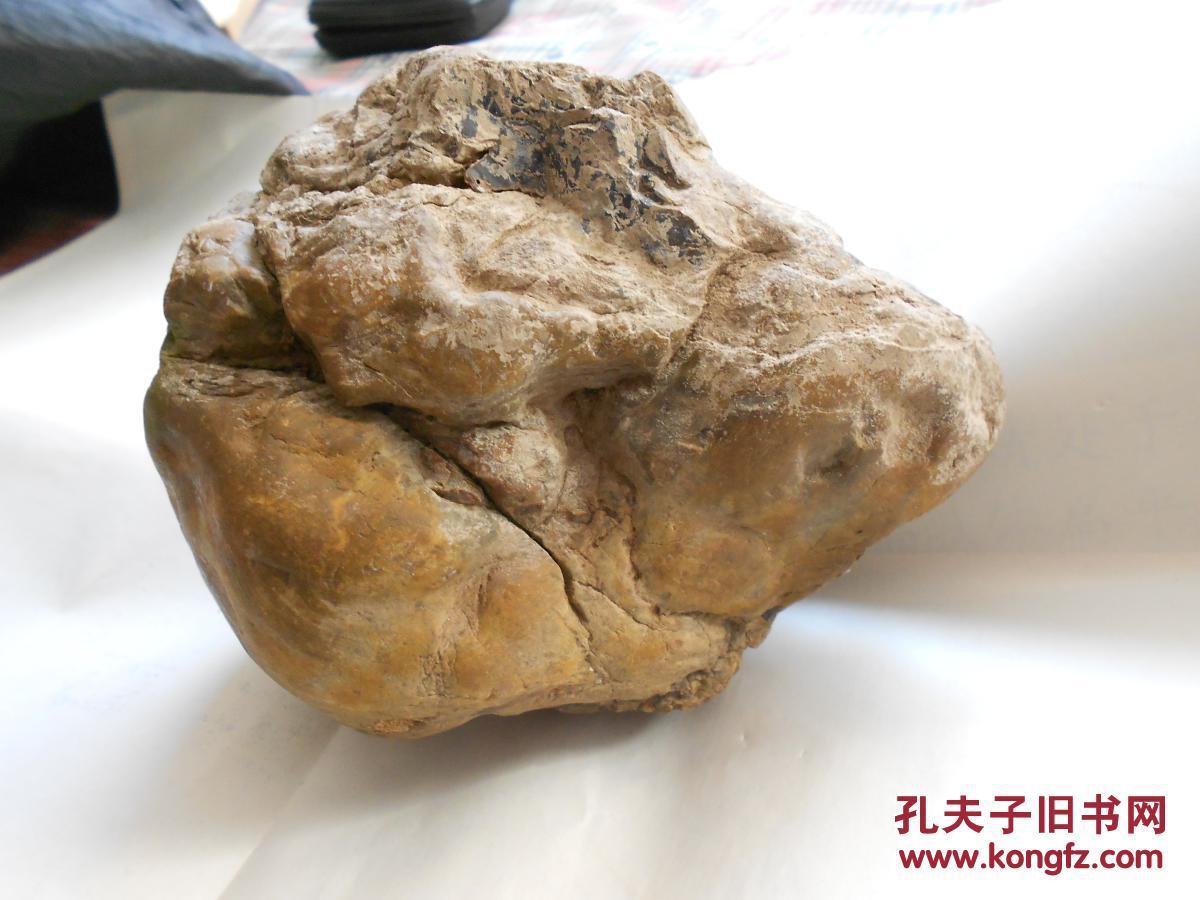 一块形似鹰头的硅化木原石约6斤未经任何处理