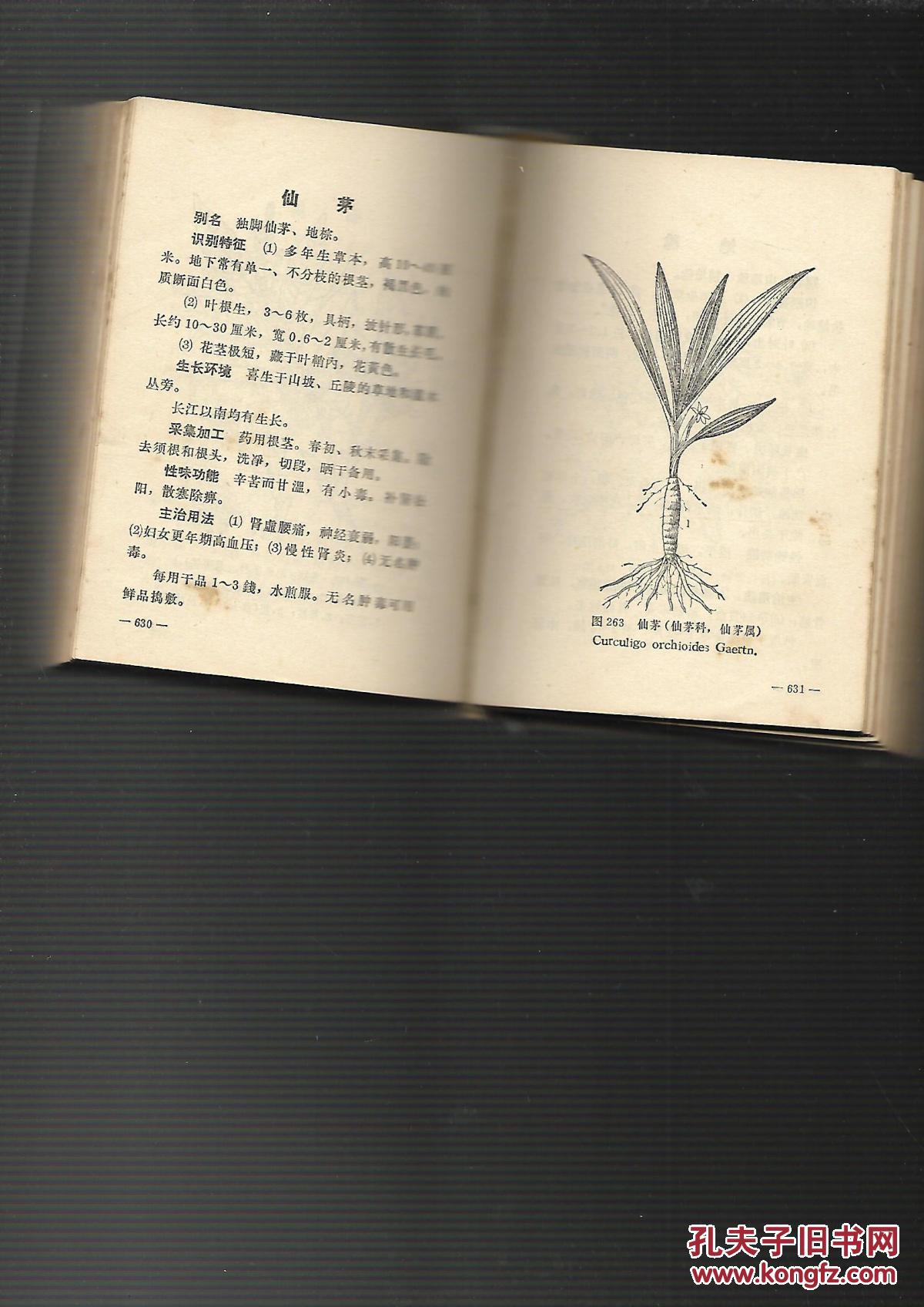 常用中草药手册