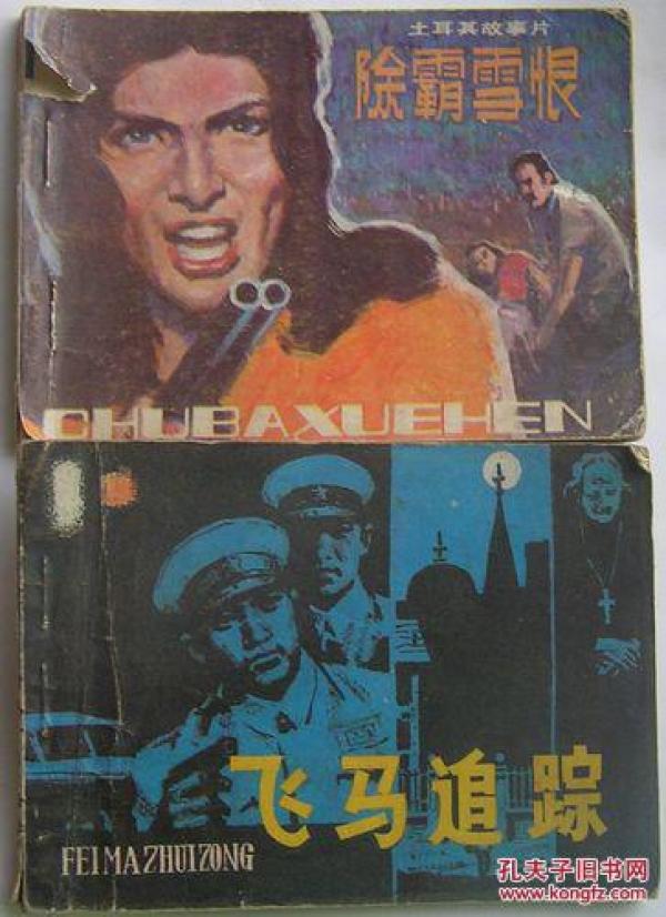 除霸雪恨(土耳其故事片)影视世界丛书