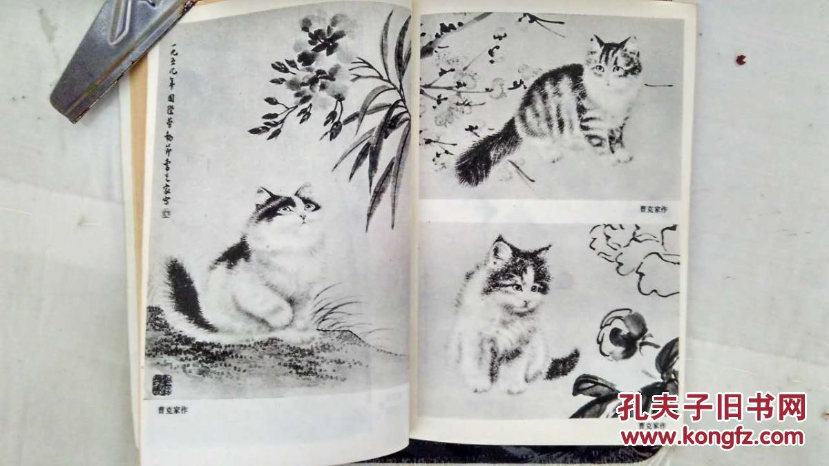 怎样画猫