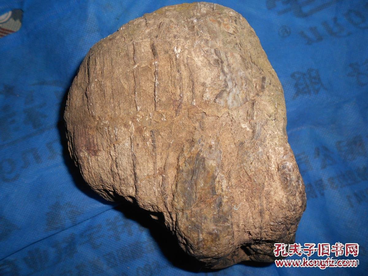 硅化木树化玉原石约47公斤