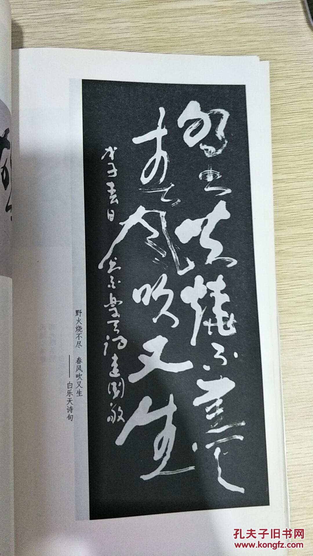 枫叶荻花集著名书法艺术家诗人燕霜红作品集