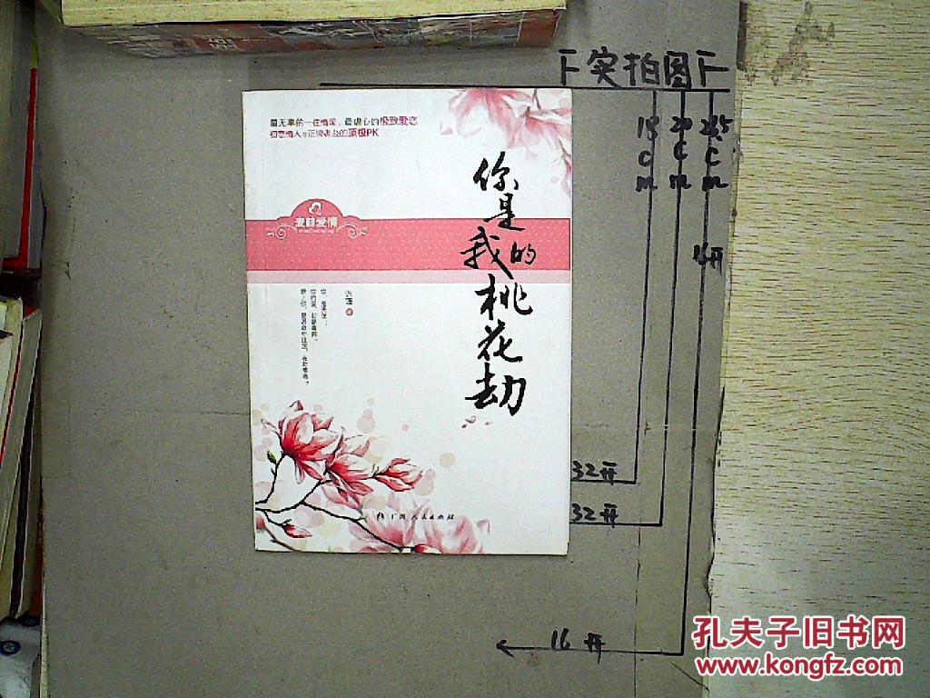 你是我的桃花劫