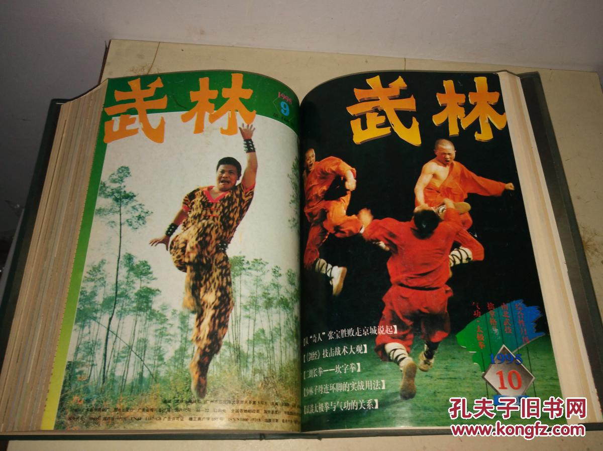 《武林》杂志 1995年1—12期 硬精装 合订本