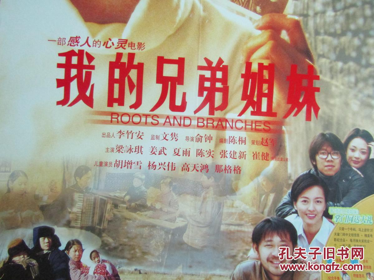 二开电影海报:我的兄弟姐妹