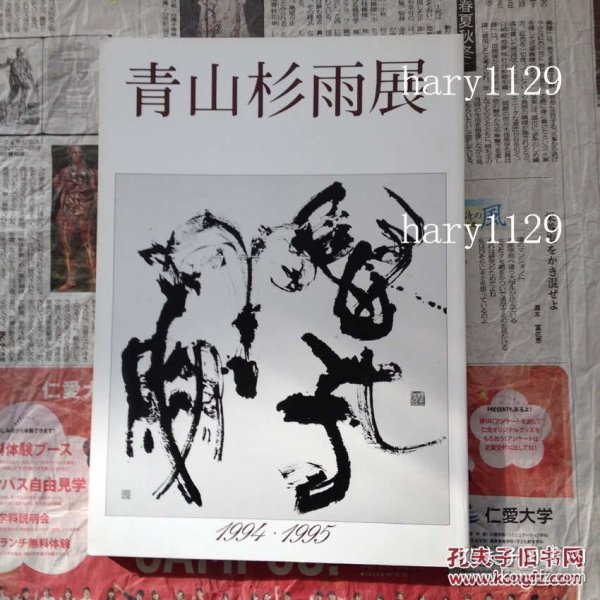 青山杉雨展 1994.1995