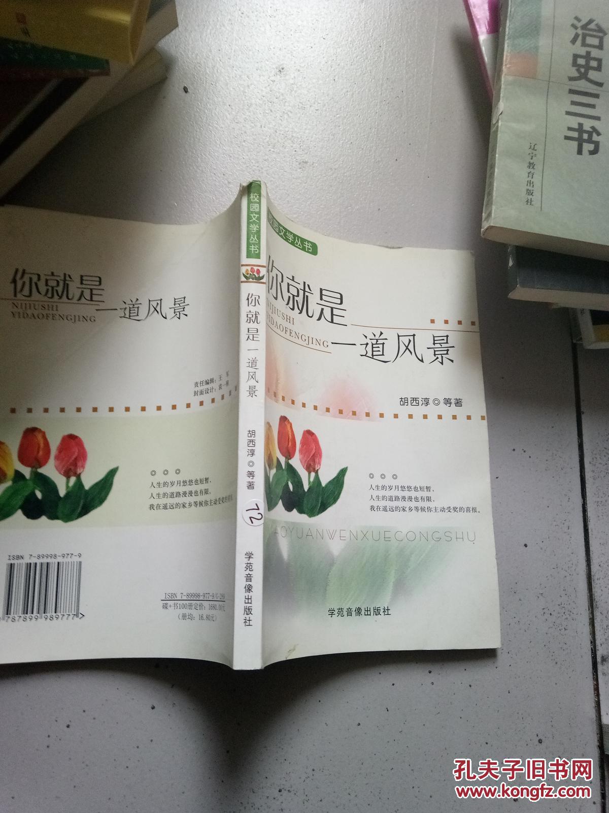 你就是一道风景.