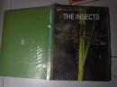 THE INSECTS
