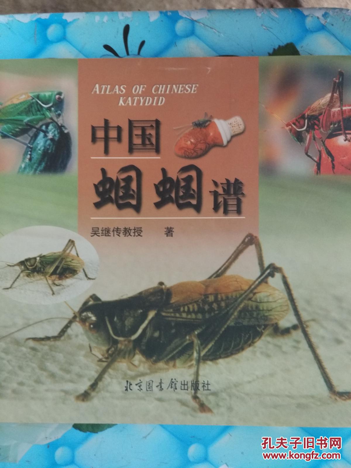 中国蝈蝈谱