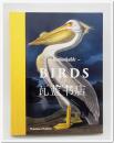 手绘鸟类图谱 观鸟百科 Remarkable Birds 世界鸟类绘画艺术