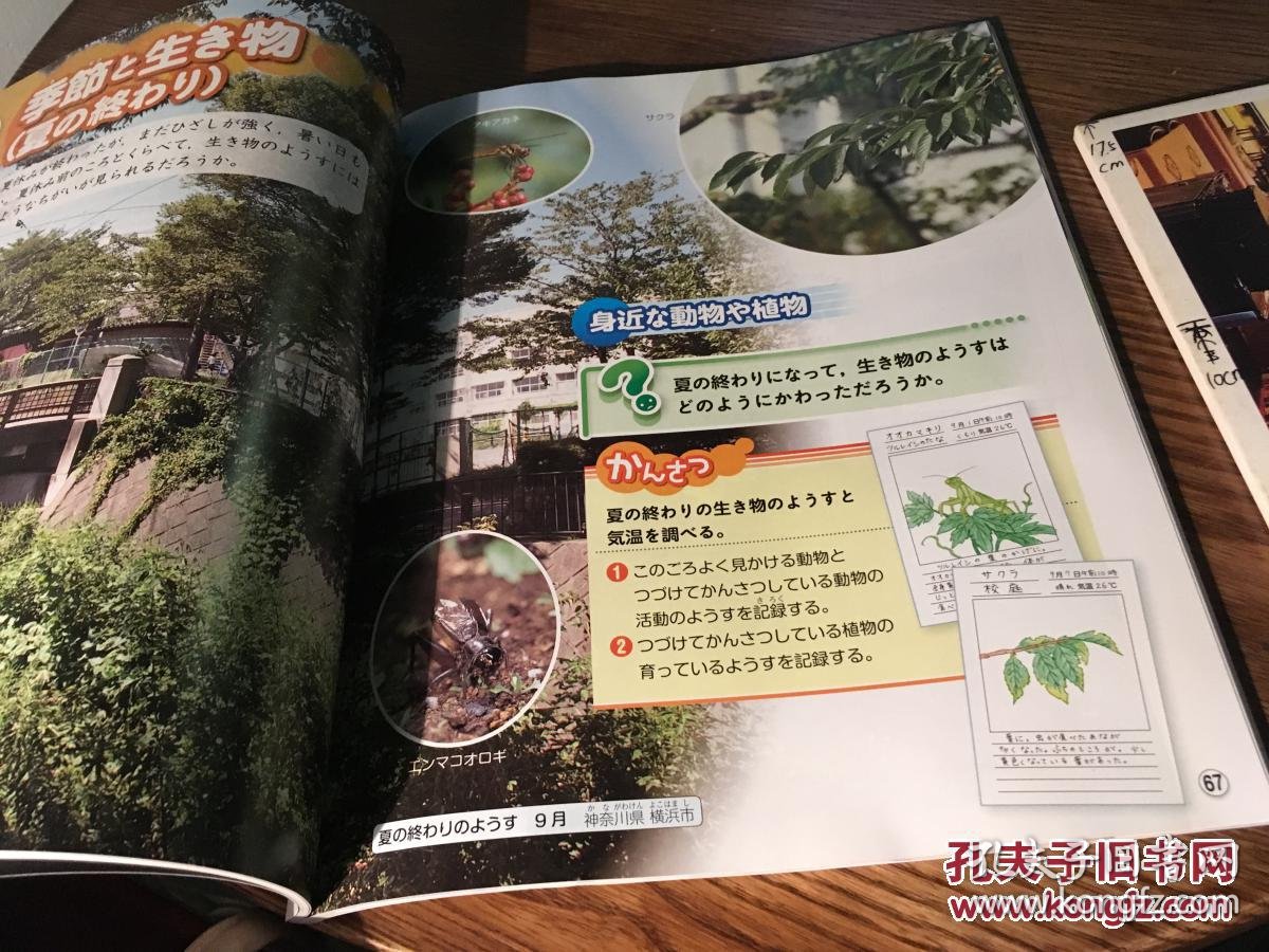 新版楽しい理科 たのしい理科 4 年級 日文原版教材日本小学校理科用教材 孔夫子旧书网