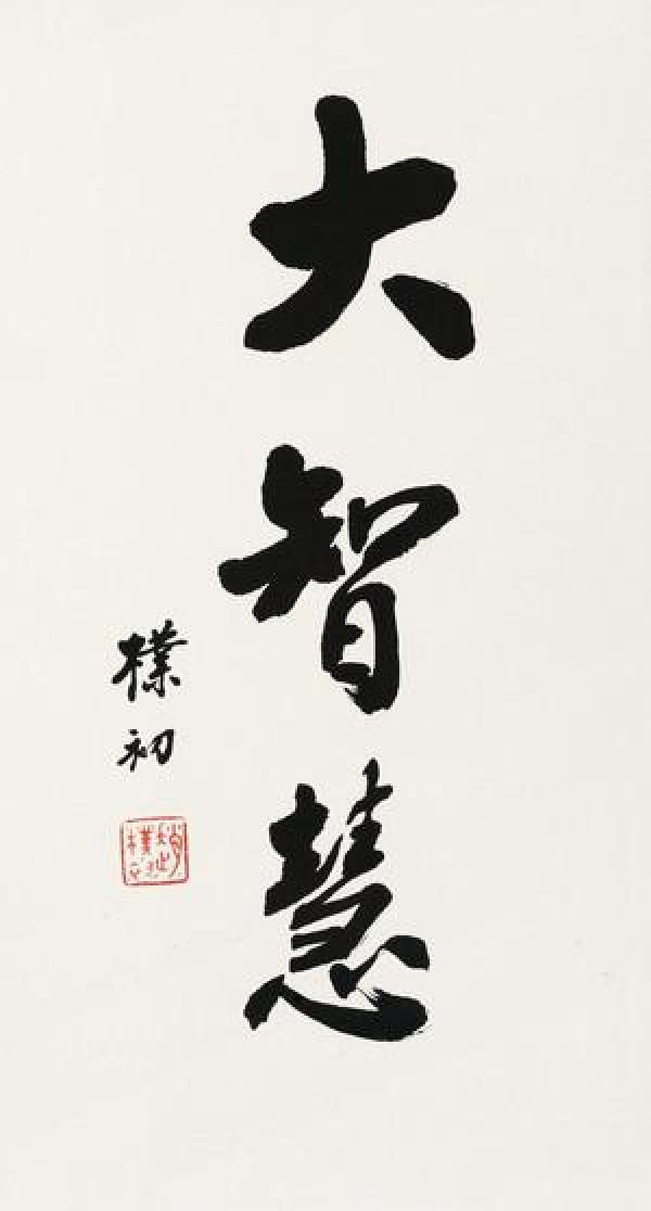 微喷书法 赵朴初 大智慧 30x55厘米