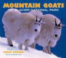 Mountain Goats of Glacier National Park北美野山羊