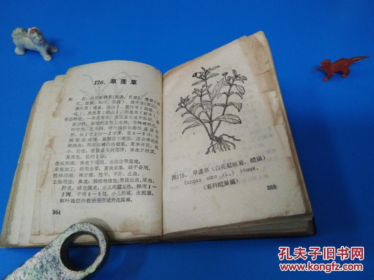 【粤北草药 第一集】广东韶关地方草药书