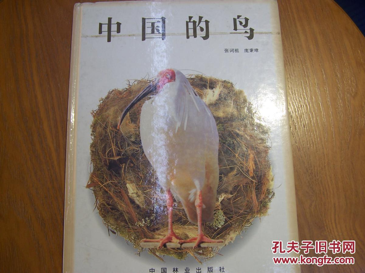 中国的鸟