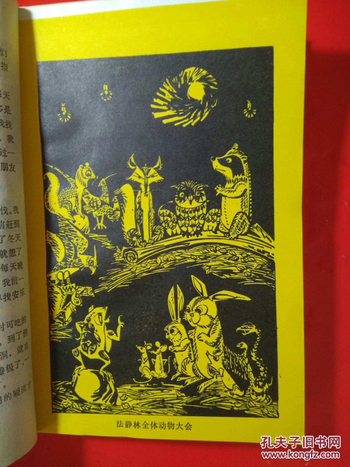 动物远征队 ( 私藏 )