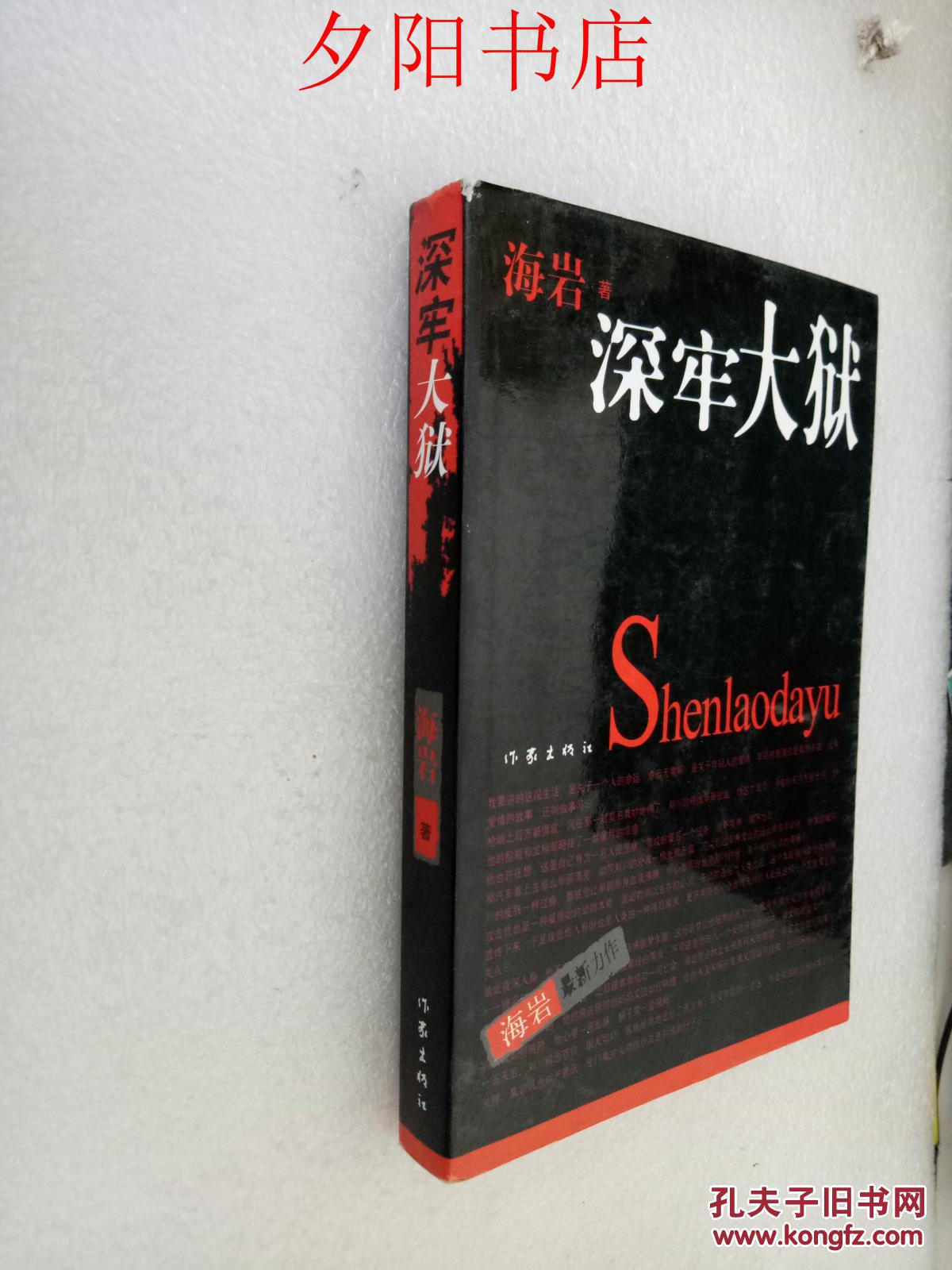 深牢大狱(海岩 著)_简介_价格_小说书籍_孔网