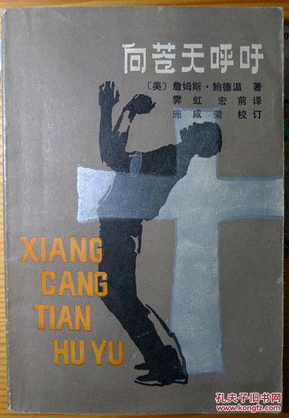 向苍天呼吁(美国现当代文学经典名作,施咸荣先生校译,1984年一版一印