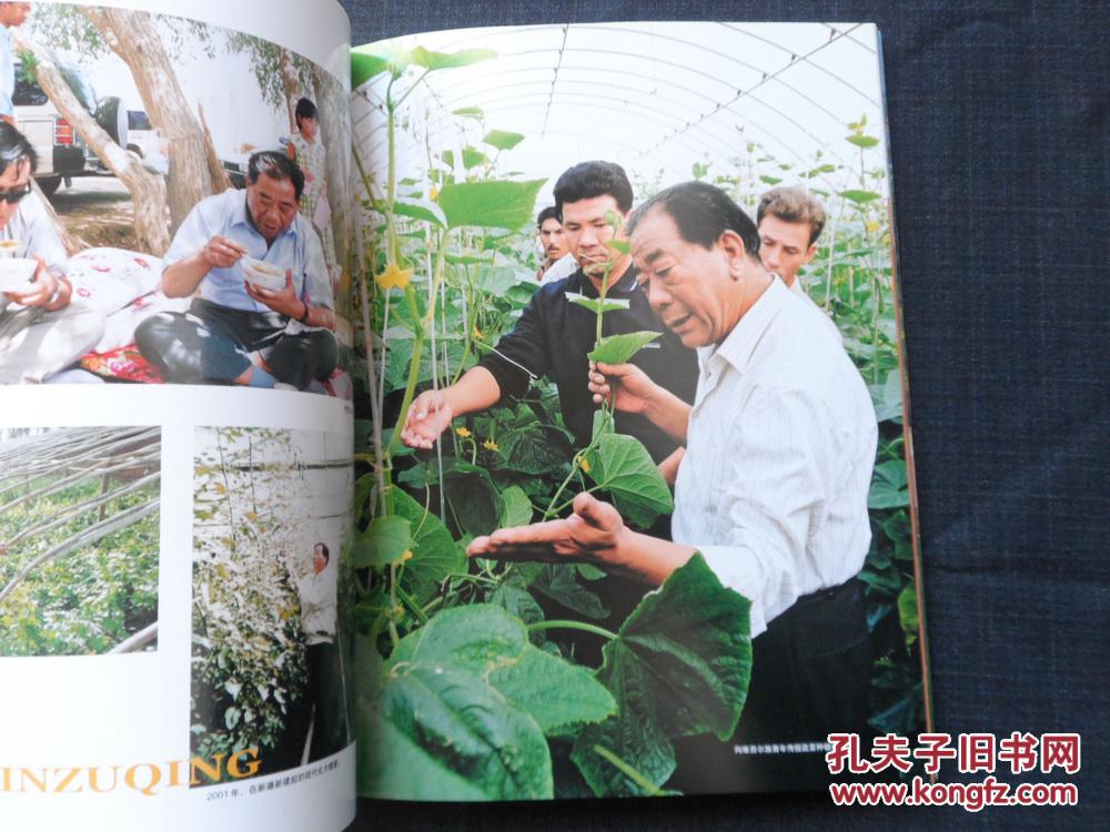 大地之子:王乐义