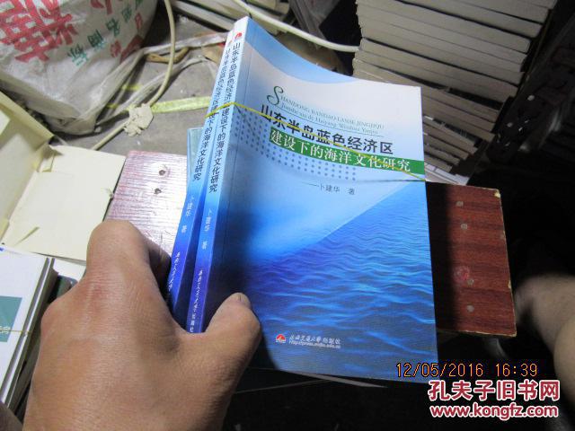 山东半岛蓝色经济区建设下的海洋文化研究  1065